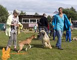 Deutsches Derby Hamburg 2014 (1024)